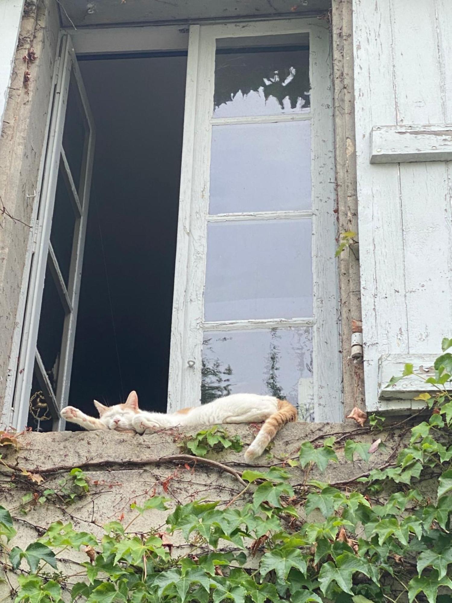 모이작 Au Jardin Y B&B 외부 사진